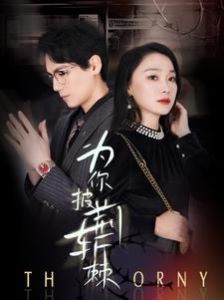 为你披荆斩棘第81-90集完结(大结局)