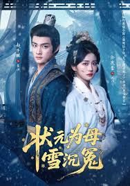 状元为母雪沉冤(全集)